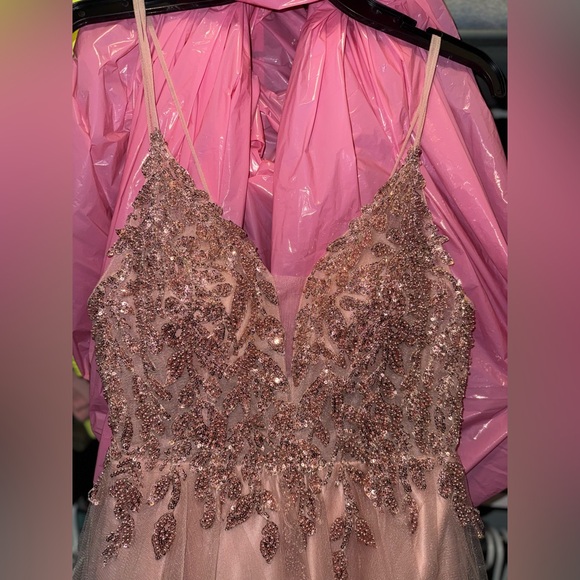 Blush, pink formal gown - Picture 5 of 5